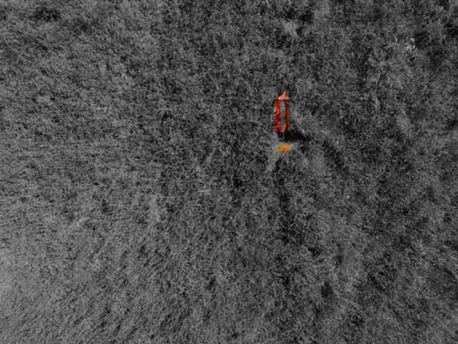 Einsatz und Ausbildung