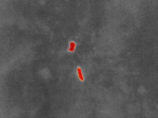 Erfolgreiche Such-Woche