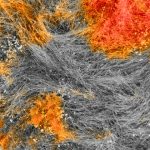 WhatsApp Image 2022-06-27 at 17.19.59