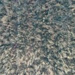 WhatsApp Image 2022-06-27 at 17.20.00 (1)