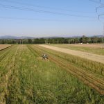 WhatsApp Image 2022-06-27 at 17.20.00